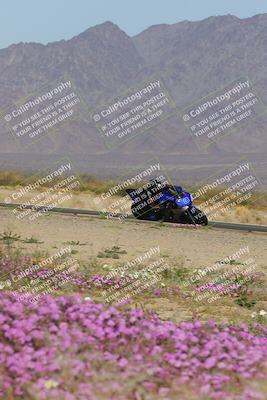 media/Feb-04-2023-SoCal Trackdays (Sat) [[8a776bf2c3]]/Turn 15 Inside Blooming (1050am)/